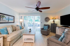 Smart TV, DVD player, video library