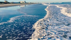 A beach with a foamy shoreline, buildings in the background, and a clear sky. - Riverfront*Shared Pool*3-Minute Walk to the Beach (202) (Brevard County)