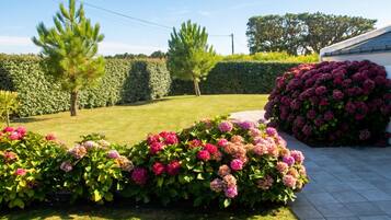 Un jardín bien cuidado con setos, plantas con flores y césped.