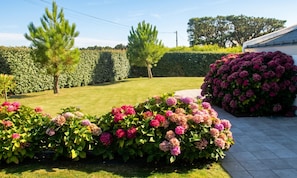 En välskött trädgård med häckar, blommande växter och en gräsmatta.