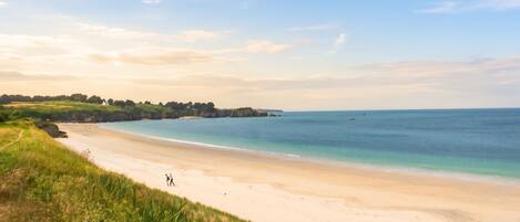 A beach with a clear sky, a sandy shore, and a grassy area with a path leading to the water.