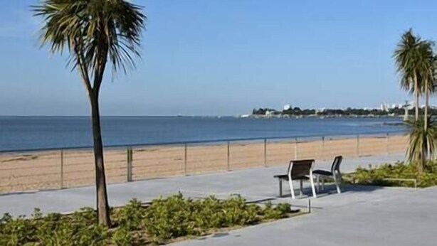 Une promenade en bord de mer, agrémentée de bancs et de palmiers, qui mène à une plage de sable et à l’océan.