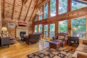 TV, fireplace, video games, DVD player