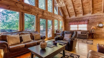 Televisión, chimenea, videojuegos y reproductor de DVD