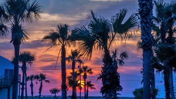 A sunset with palm trees and a house in the foreground.