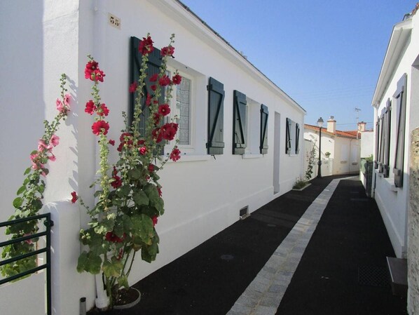 A narrow street with white buildings, a potted plant with red flowers, and shutters on the windows.
