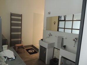 Regadera, toallas, jabón, papel de baño
