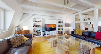 dreyfus duplex city center ac 3br 2bth 165m2