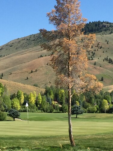 Spacious Sun Valley Escape- Ground Level, Private Porch & BBQ