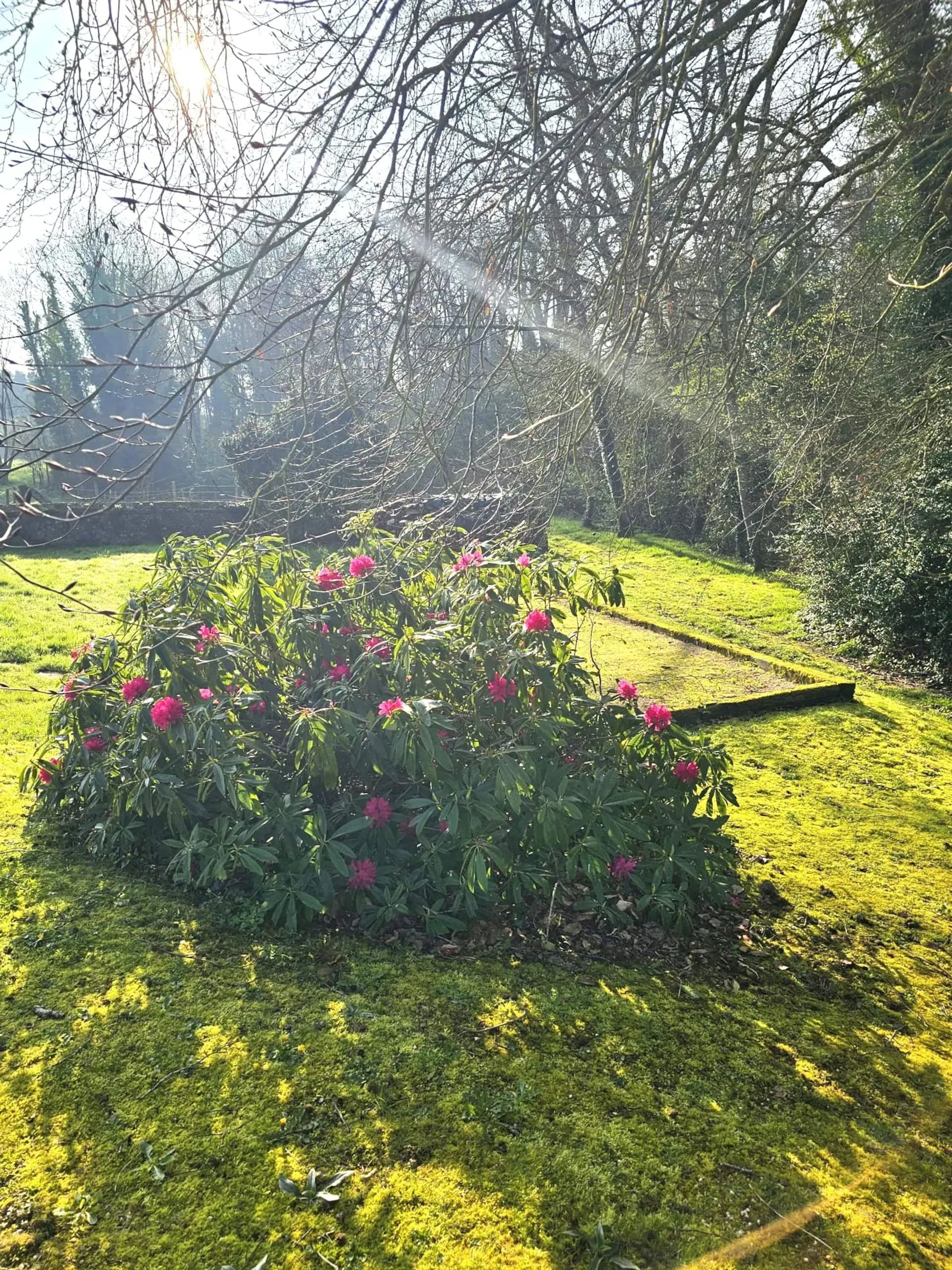 Un jardin agrémenté d’un parterre de fleurs et d’une pelouse bien entretenue.
