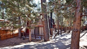 Un chalet rustique doté d’une terrasse en bois, entouré de grands pins.