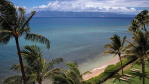 A beach with palm trees and a view of the ocean. - Mahana Villas | Oceanfront 2 BR | Whale Watching | Car Incl. w/ 6+ Nights | MAH-611 by KBM (Lahaina)