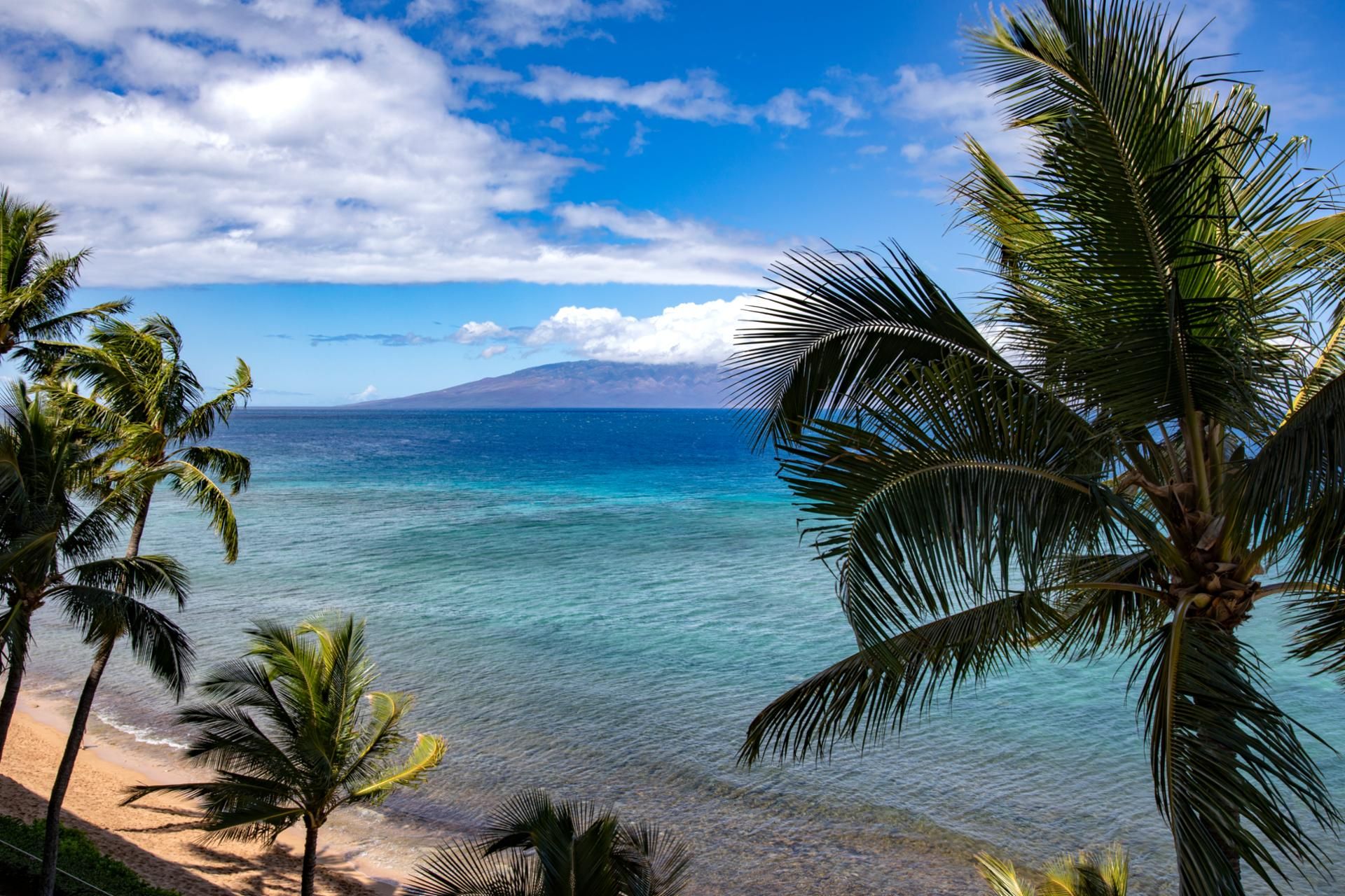 Una playa con agua turquesa cristalina, palmeras y una montaña al fondo.