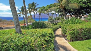 A pathway lined with lush greenery and palm trees, leading to a view of the ocean and a mountainous backdrop.