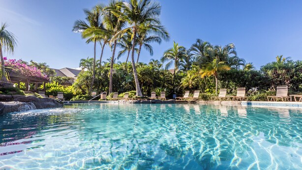 A clear pool with lounge chairs and palm trees, surrounded by lush greenery.