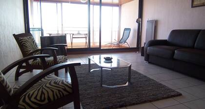 Appartement avec vue sur le chenal, garage et wifi