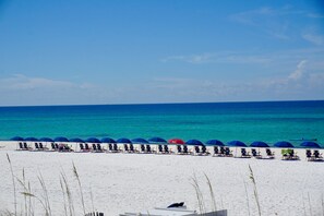 On the beach, sun-loungers