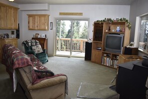 TV, fireplace, DVD player, books