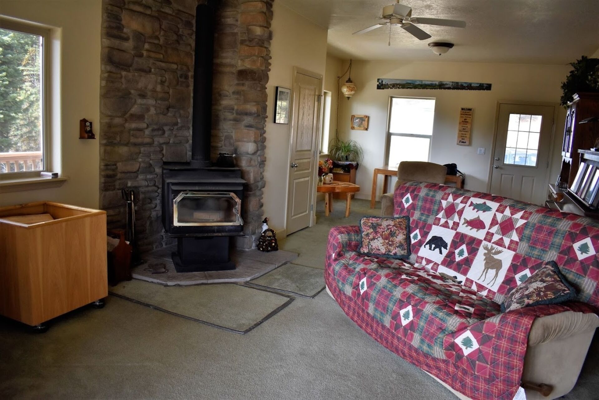 電視、壁爐、DVD 播放機、書籍