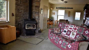 電視、壁爐、DVD 播放機、書籍