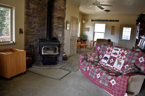 Televisio, takka, DVD-soitin, kirjoja