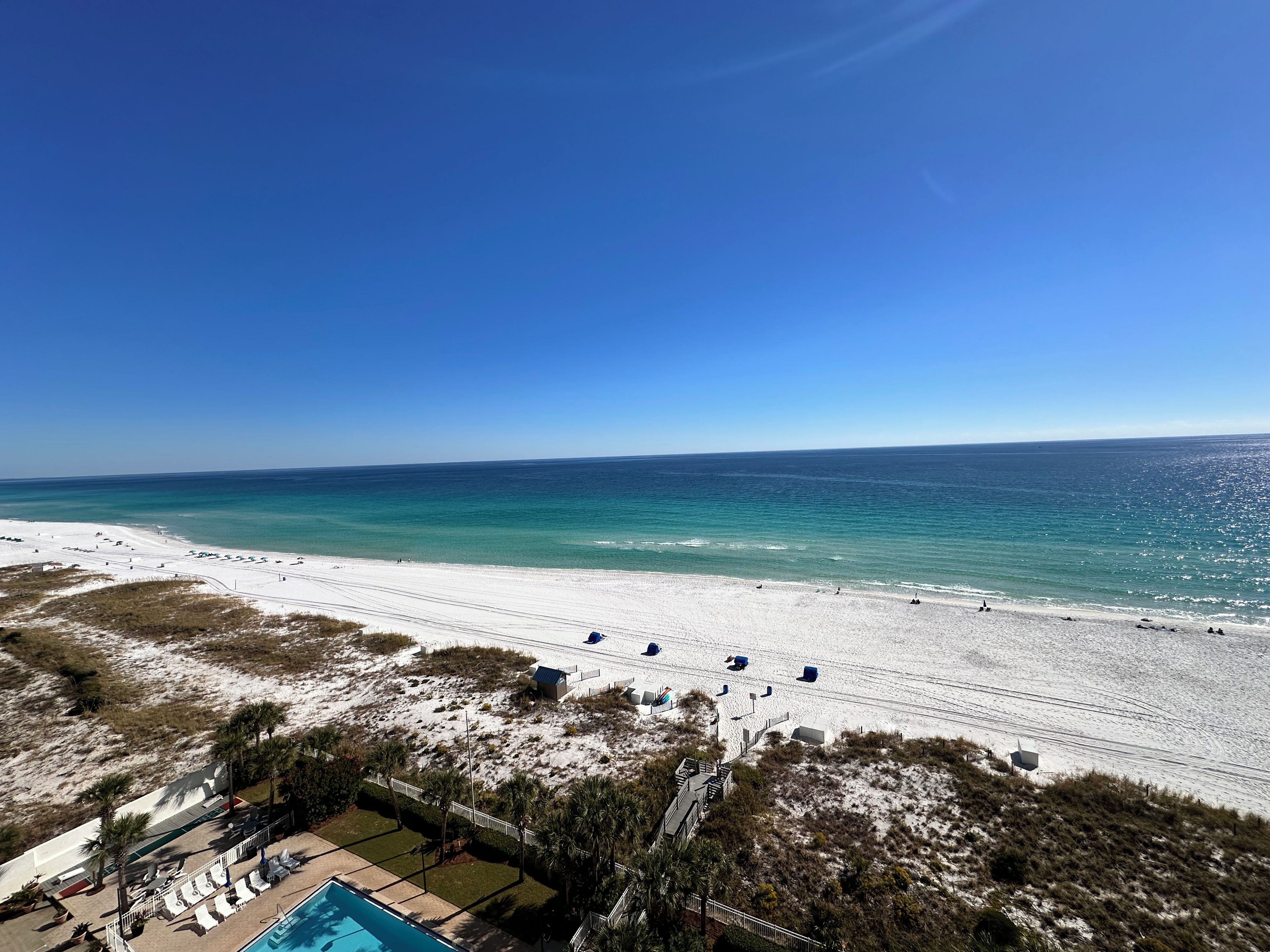 A beach with a pool, palm trees, and a clear blue sky.