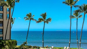 A beachfront hotel with palm trees, a pool, and ocean views.