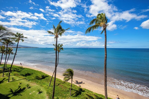 On the beach - Oceanfront Ground-Floor Condo – Lanai, A/C, Steps to Sugar Beach (Kihei)