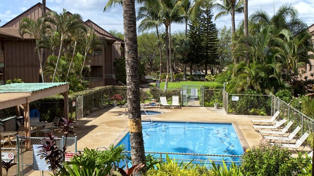 A pool area with lounge chairs, a wooden building, and palm trees.