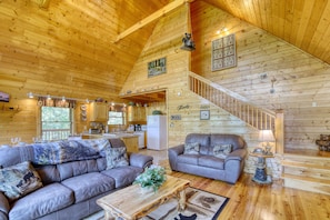TV, fireplace, video games, DVD player