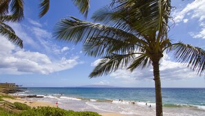 A beach with palm trees, ocean waves, and a clear sky.