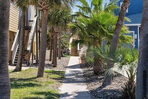 Property grounds - Texas on the Beach Port A style! Spacious home with beach access and a private p (Port Aransas)