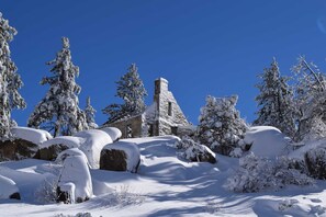 Exterior - Owl's Perch by Destination Big Bear : Near Bear Mtn! BBQ! Gas Fireplace! Deck! Wifi! Great Location! (Big Bear Lake)