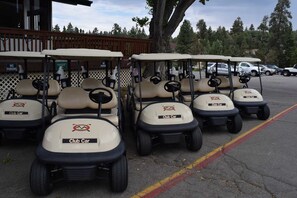 Property grounds - Owl's Perch by Destination Big Bear : Near Bear Mtn! BBQ! Gas Fireplace! Deck! Wifi! Great Location! (Big Bear Lake)