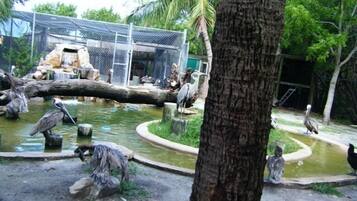 المنطقة المحيطة بالمنشأة