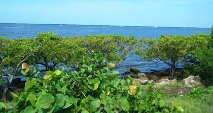 "Luxury Villa in Punta Gorda, FL - 4BD/3BA, Pool, Jacuzzi" Sandhill Cranes.