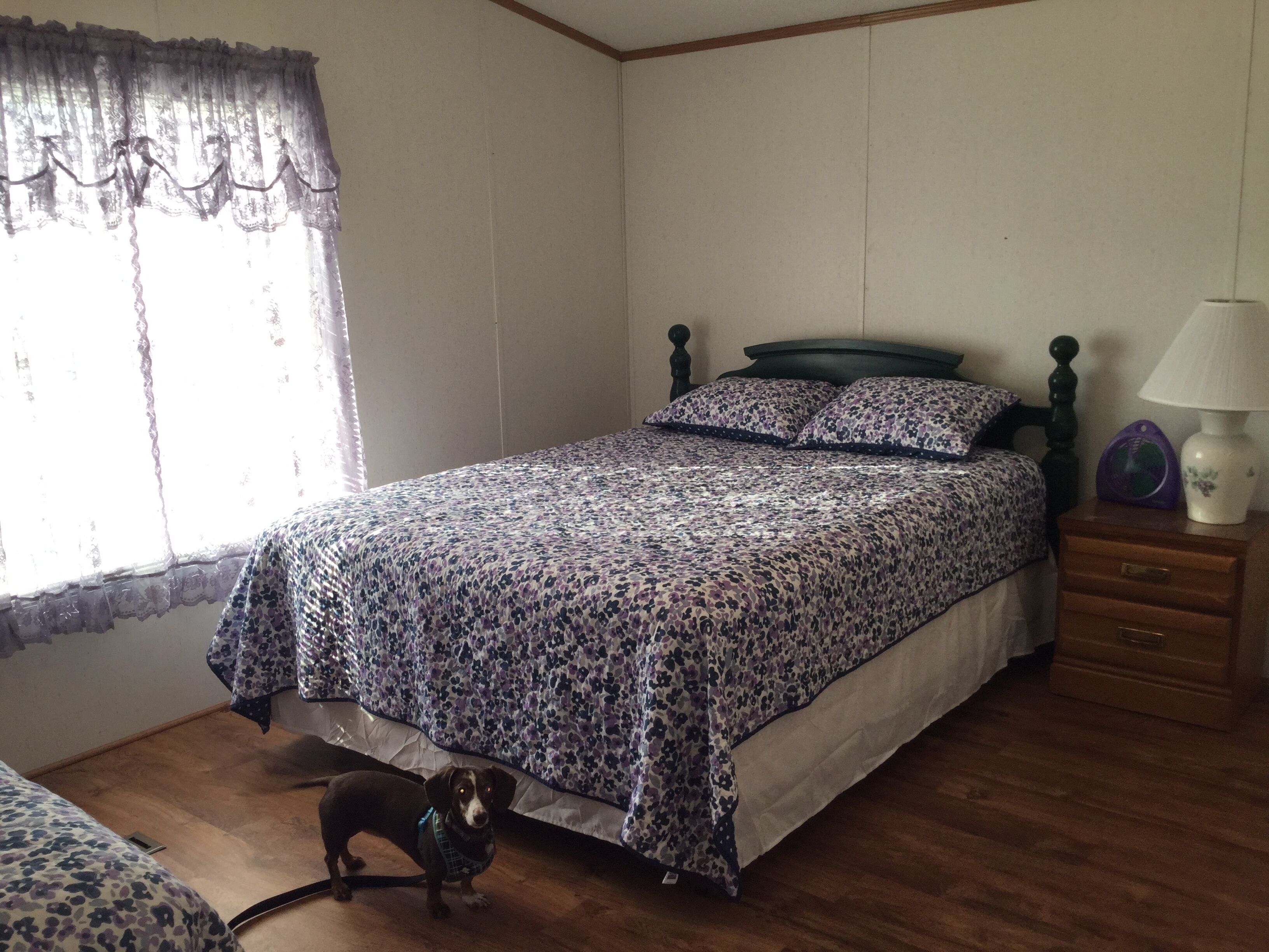 A bedroom with a bed, a nightstand, a lamp, and a dog.