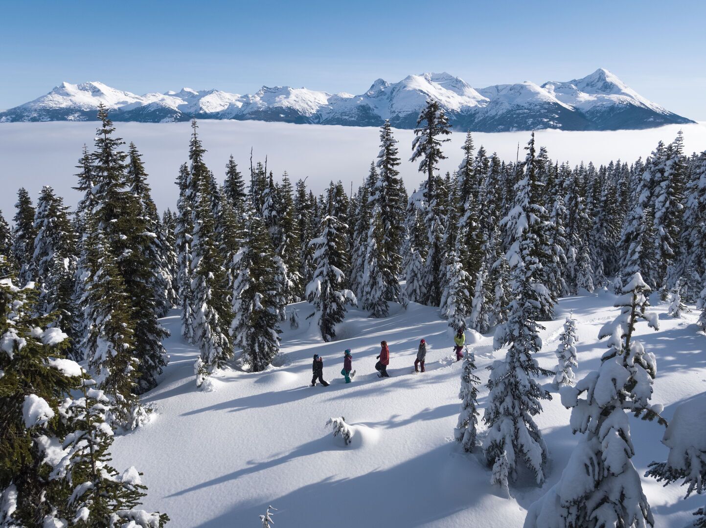 A snowy forest with a group of people walking.