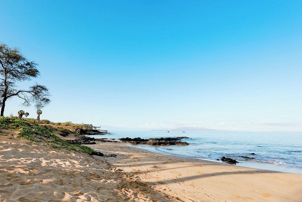 Een zandstrand met een helderblauwe lucht, rotsachtige rotsen en schaarse begroeiing.
