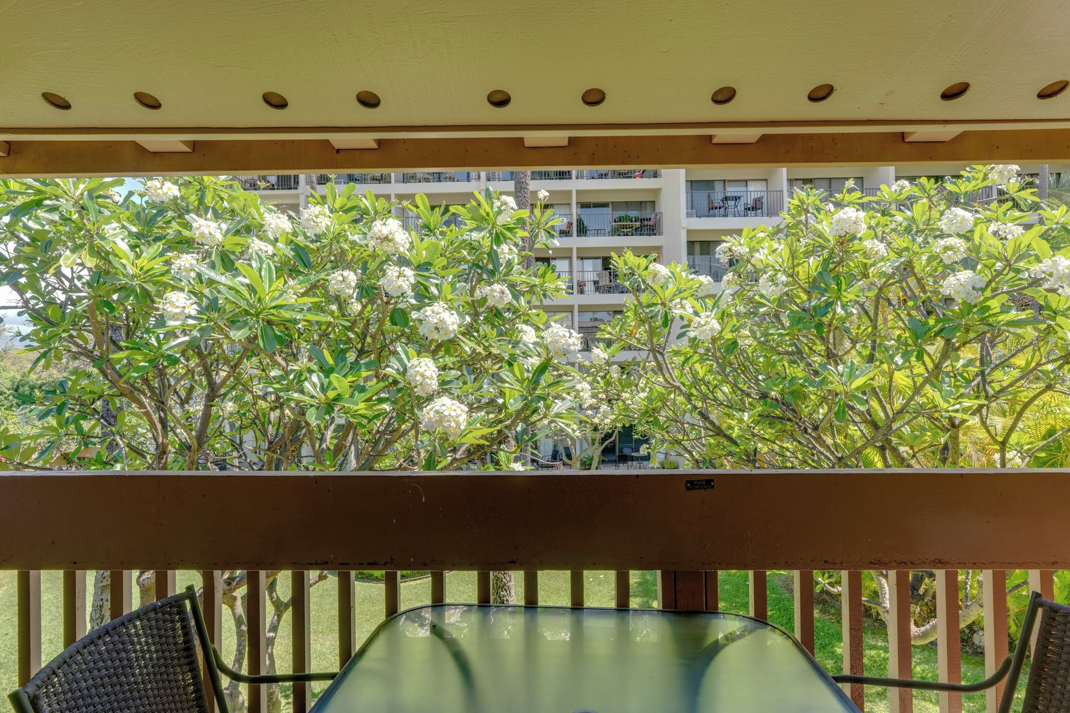 Varanda com mesa de vidro e duas cadeiras de vime, com vista para um edifício com varandas e árvores de flores brancas.