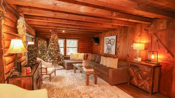 Televisión y chimenea