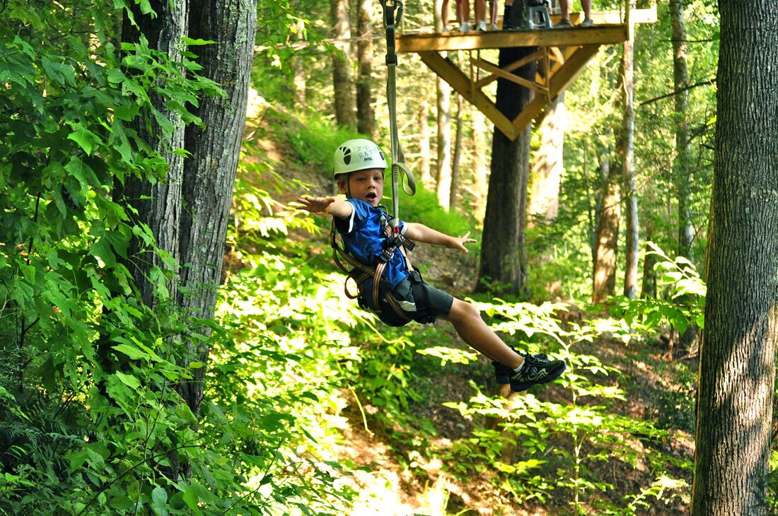 A person zip-lining through a forested area with a wooden platform overhead.