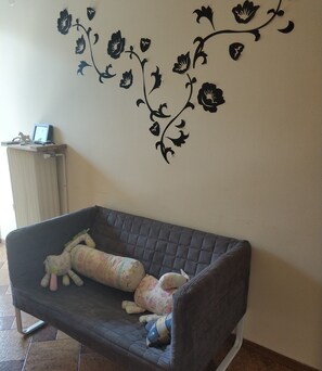 TV, DVD player, books, video library