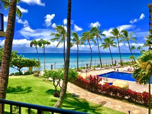 A resort with a pool, palm trees, and a view of the ocean.