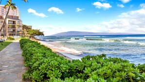 A coastal hotel with a paved walkway, lush greenery, and ocean views.