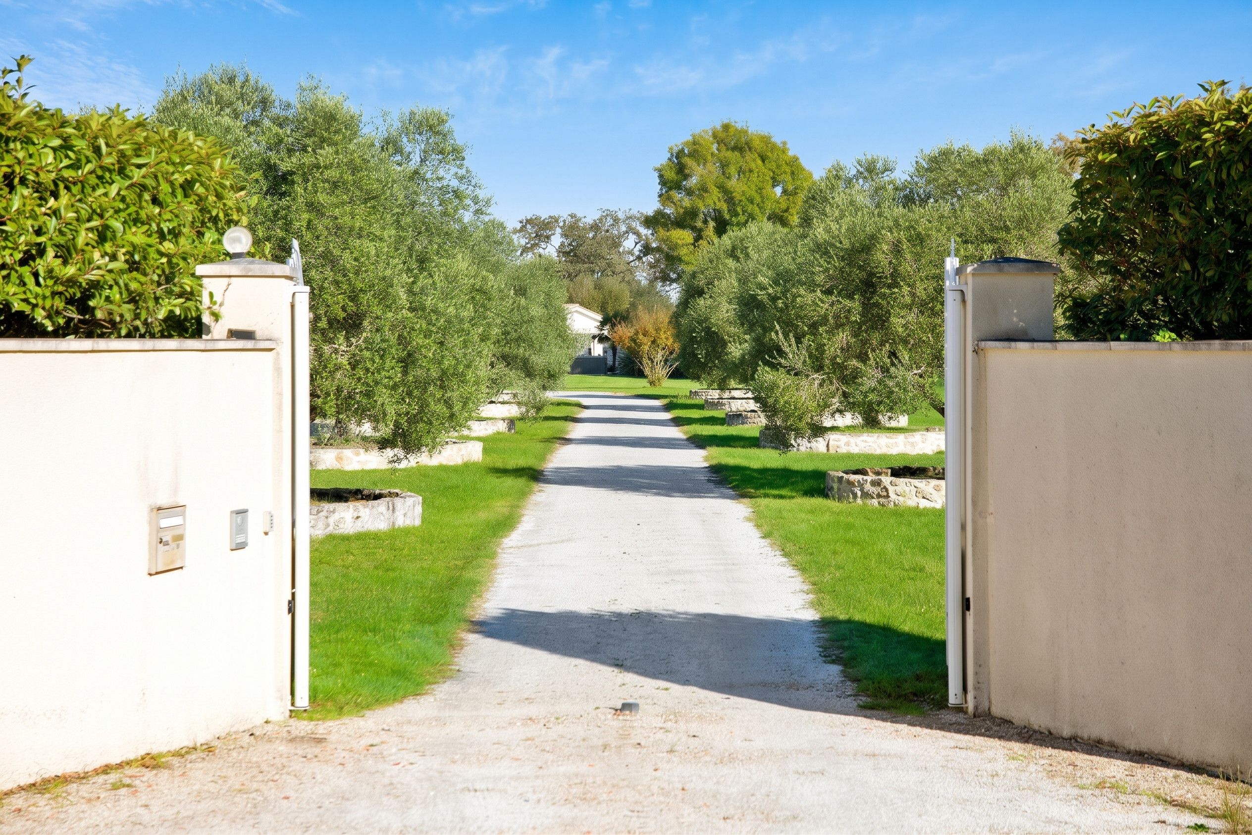 Entrada