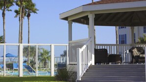 A covered outdoor area with a pool, lounge chairs, and palm trees.