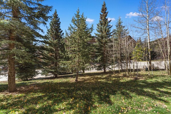 A park with various trees, a clear sky, and a building in the background. - Freshly Updated in 2025 — Your Walk-to-Slopes Mountain Getaway! (Keystone)