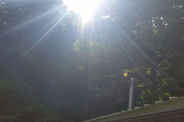 The beautiful view from the front yard