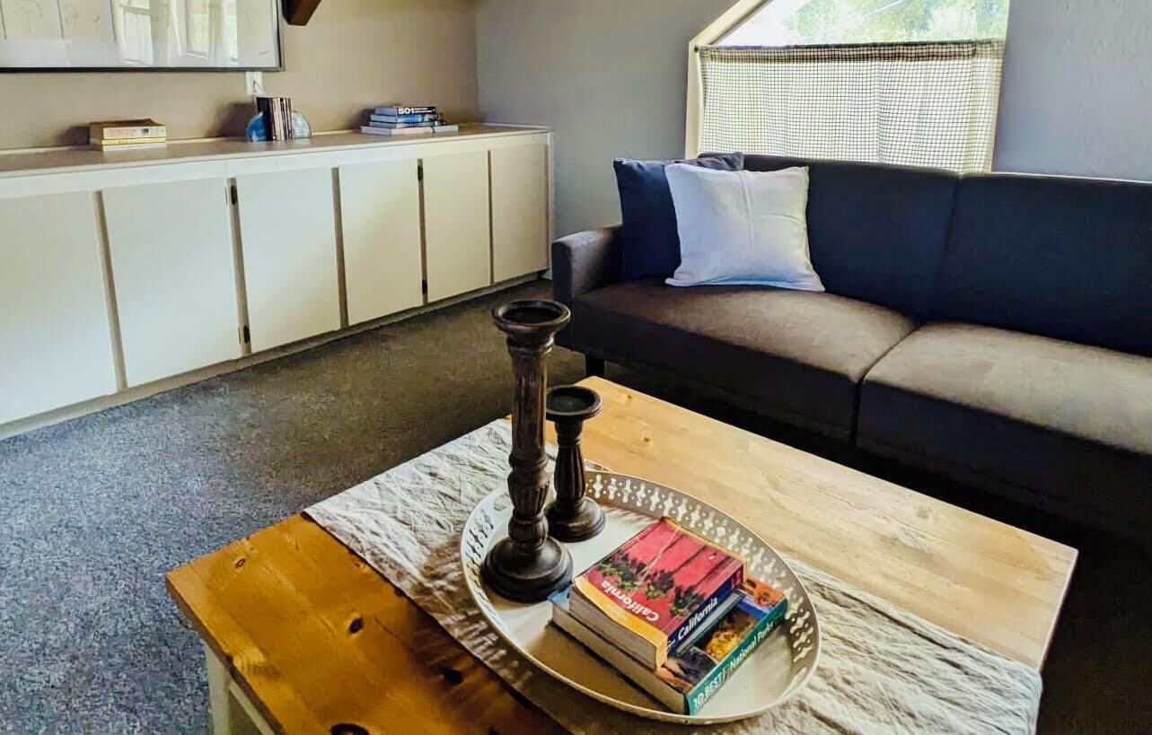 Smart TV, fireplace, books